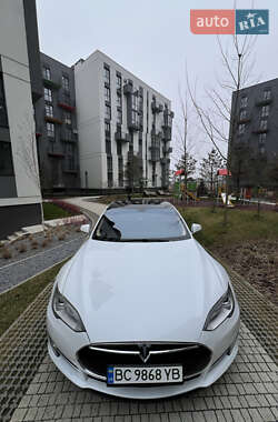 Ліфтбек Tesla Model S 2013 в Пустомитах