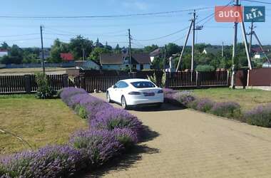 Лифтбек Tesla Model S 2014 в 
