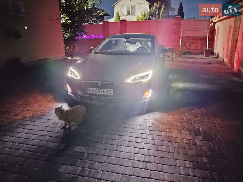Лифтбек Tesla Model S 2013 в Василькове