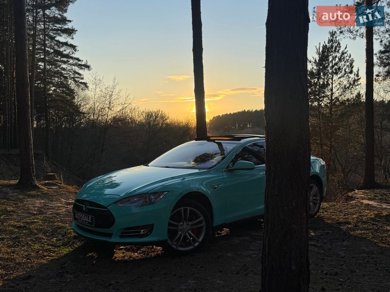 Лифтбек Tesla Model S 2013 в Шепетовке