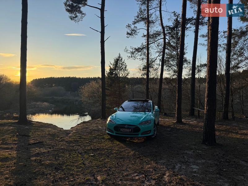 Лифтбек Tesla Model S 2013 в Шепетовке