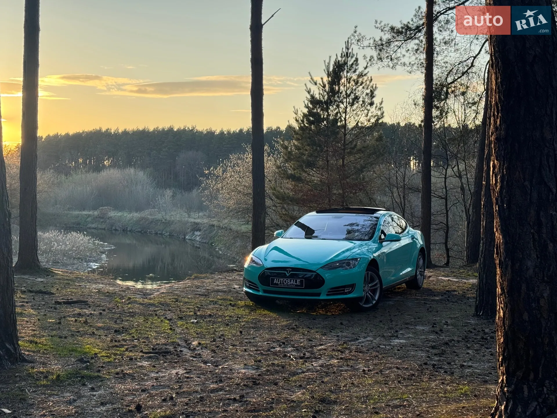 2013 Tesla Model S - мініатюра 22