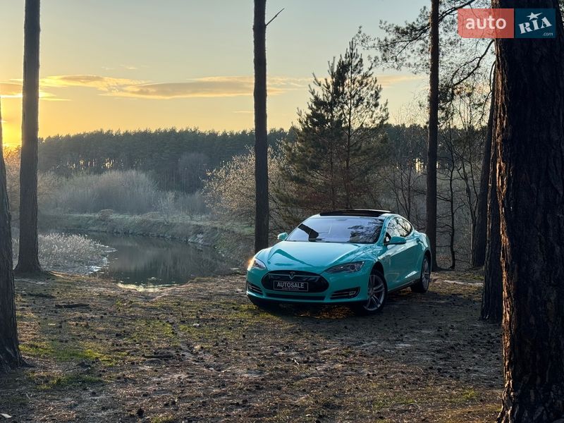 Ліфтбек Tesla Model S 2013 в Шепетівці