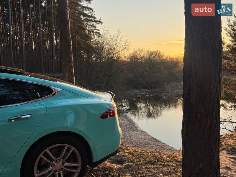 Лифтбек Tesla Model S 2013 в Шепетовке