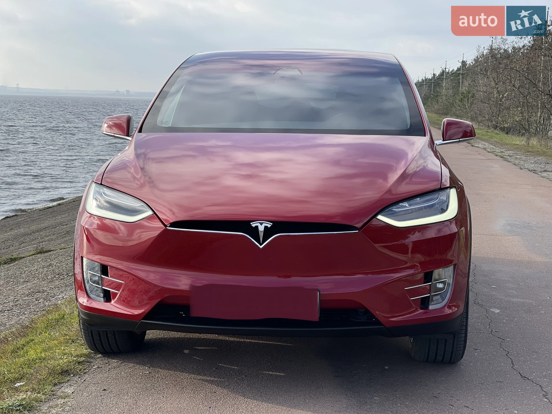 2019 Tesla Model X - мініатюра 5