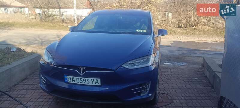 Внедорожник / Кроссовер Tesla Model X 2019 в Новоукраинке фото 2 Внедорожник / Кроссовер Tesla Model X 2019 в Новоукраинке