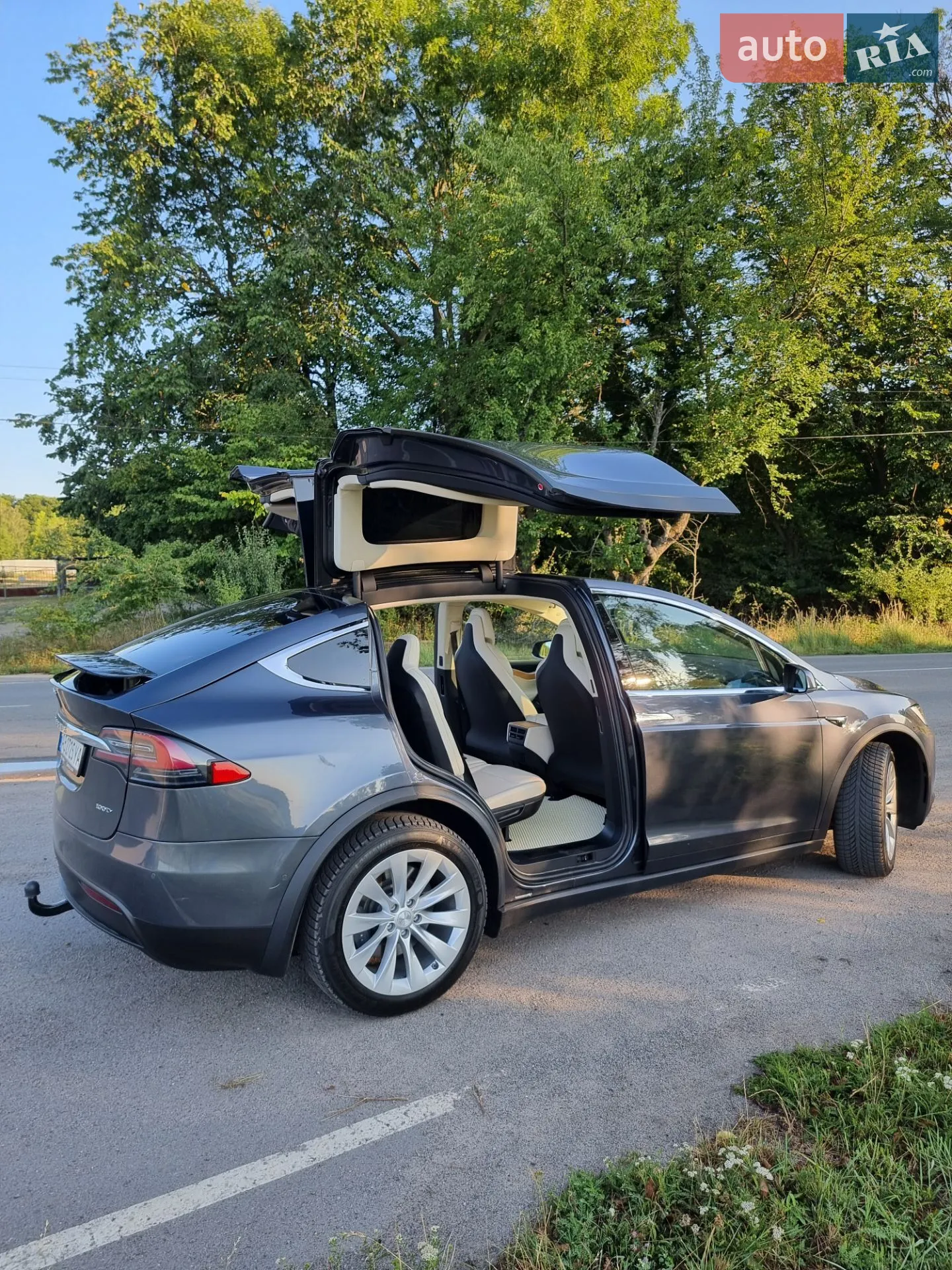 2018 Tesla Model X - мініатюра 4