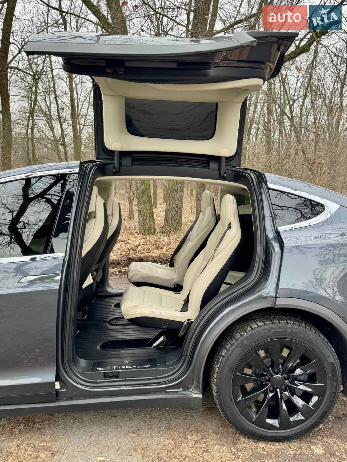 2018 Tesla Model X - мініатюра 15