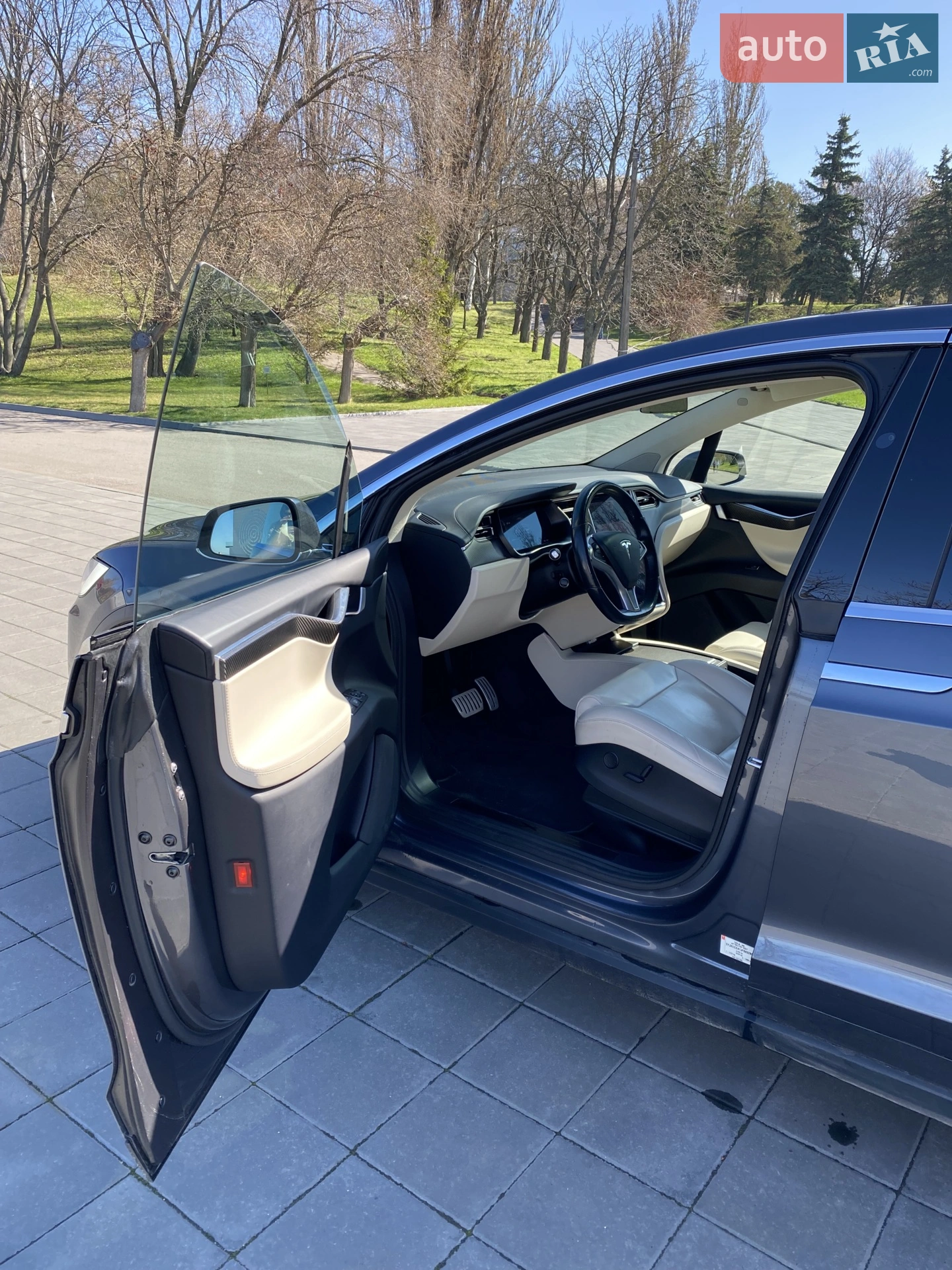 2018 Tesla Model X - мініатюра 12