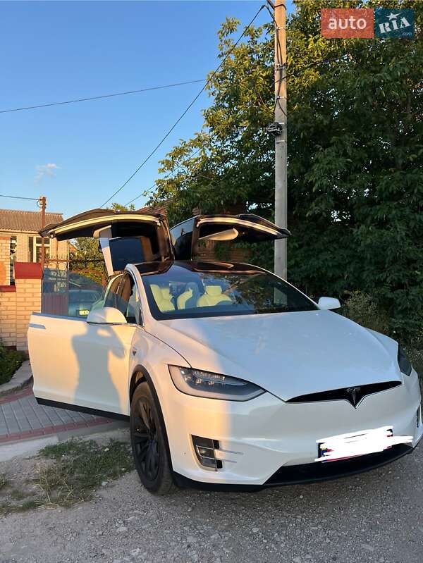 Позашляховик / Кросовер Tesla Model X 2019 в Кропивницькому