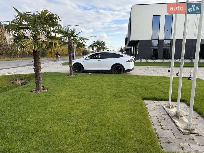 Внедорожник / Кроссовер Tesla Model X 2019 в Ужгороде фото 18 Внедорожник / Кроссовер Tesla Model X 2019 в Ужгороде