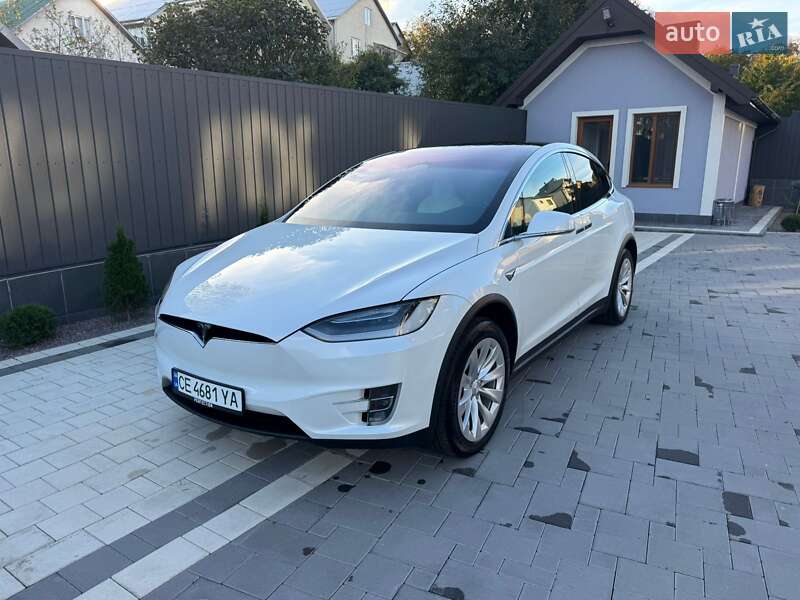 Внедорожник / Кроссовер Tesla Model X 2019 в Черновцах
