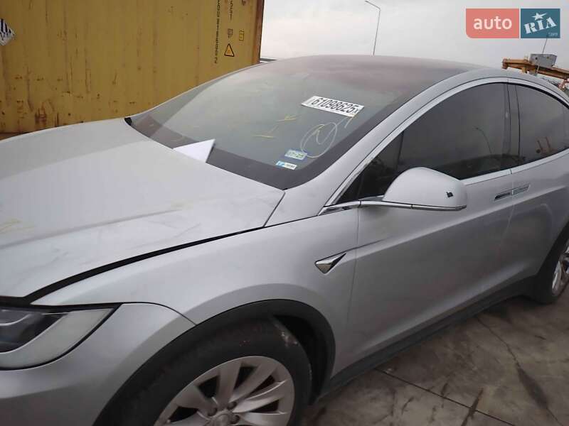 Внедорожник / Кроссовер Tesla Model X 2018 в Житомире
