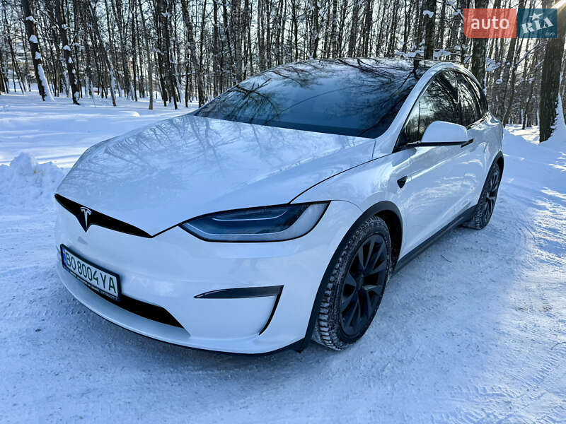 Внедорожник / Кроссовер Tesla Model X 2023 в Тернополе