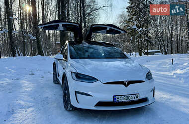 Внедорожник / Кроссовер Tesla Model X 2023 в Тернополе