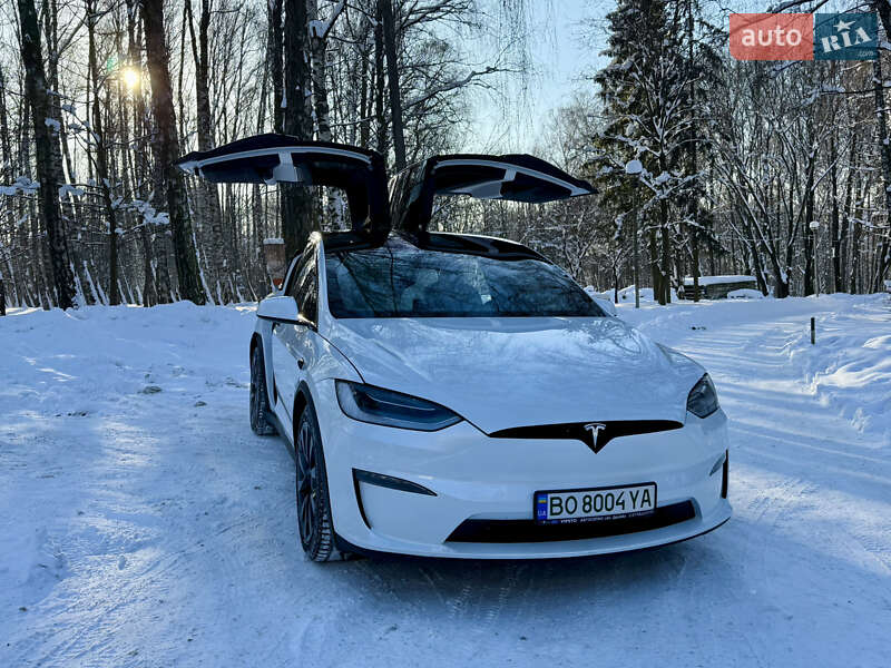 Внедорожник / Кроссовер Tesla Model X 2023 в Тернополе