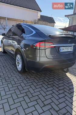 Внедорожник / Кроссовер Tesla Model X 2018 в Житомире