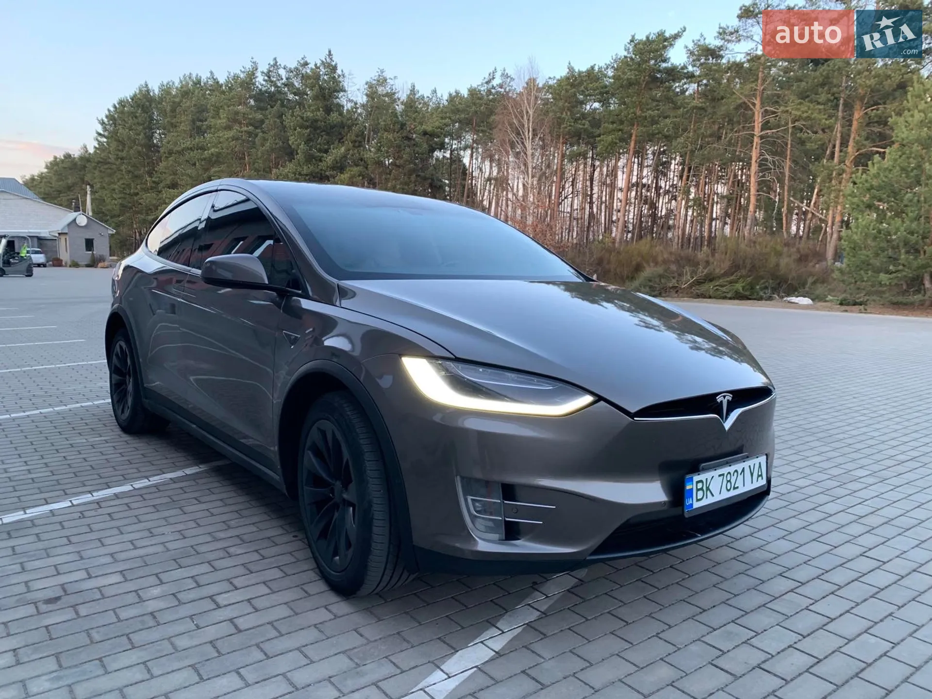 2016 Tesla Model X - мініатюра 5