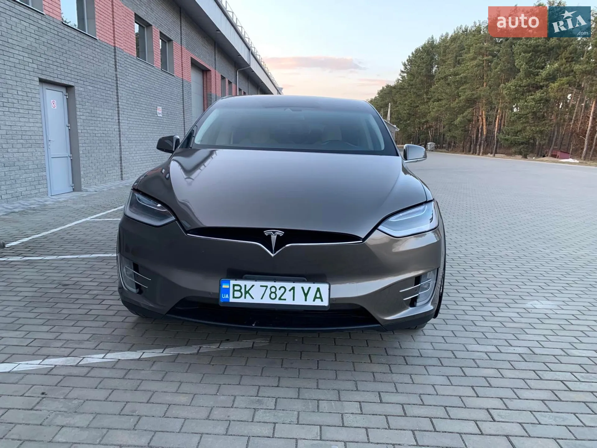 2016 Tesla Model X - мініатюра 19