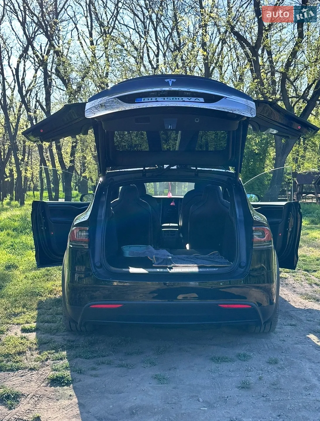 2020 Tesla Model X - мініатюра 6