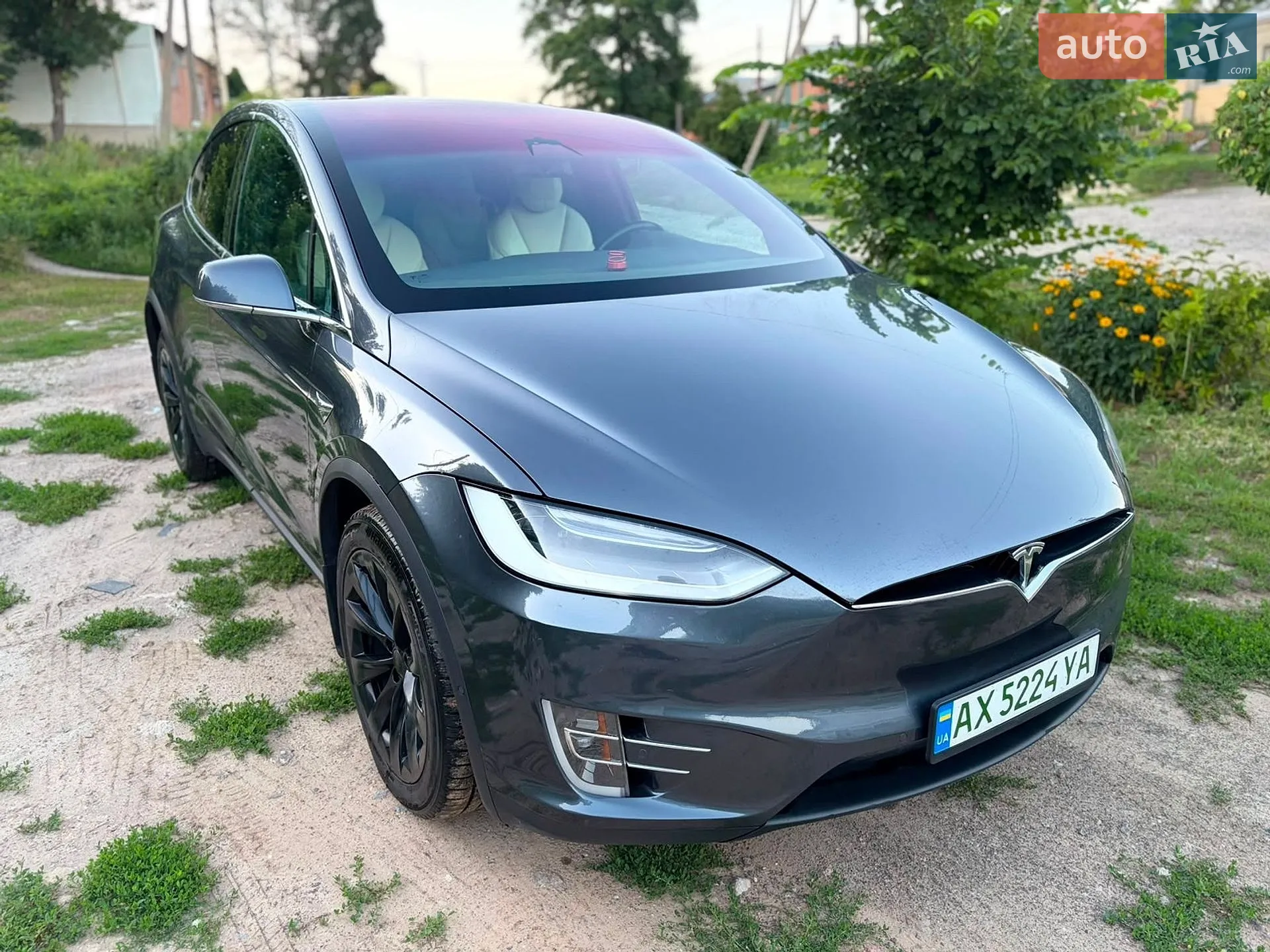 2019 Tesla Model X - мініатюра 9