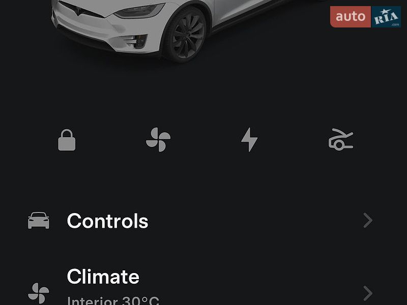 Позашляховик / Кросовер Tesla Model X 2020 в Стрию