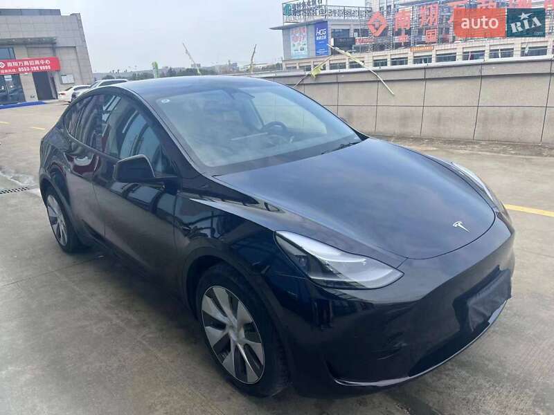 Внедорожник / Кроссовер Tesla Model Y 2022 в Снятине