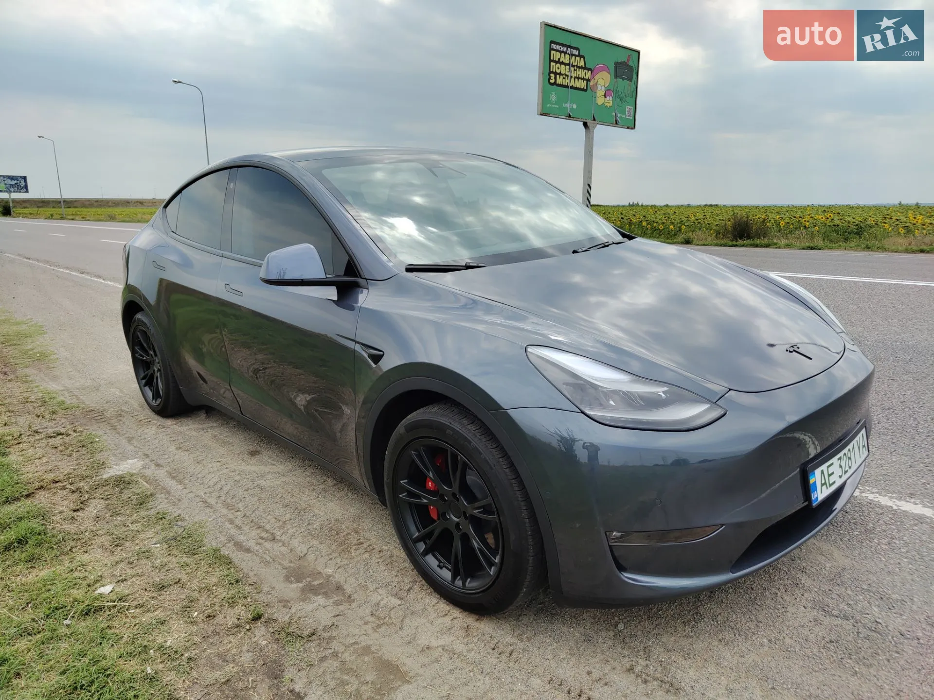 2020 Tesla Model Y - мініатюра 3