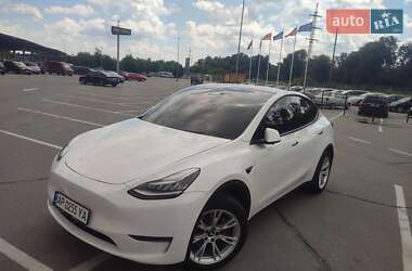 Внедорожник / Кроссовер Tesla Model Y 2020 в Запорожье