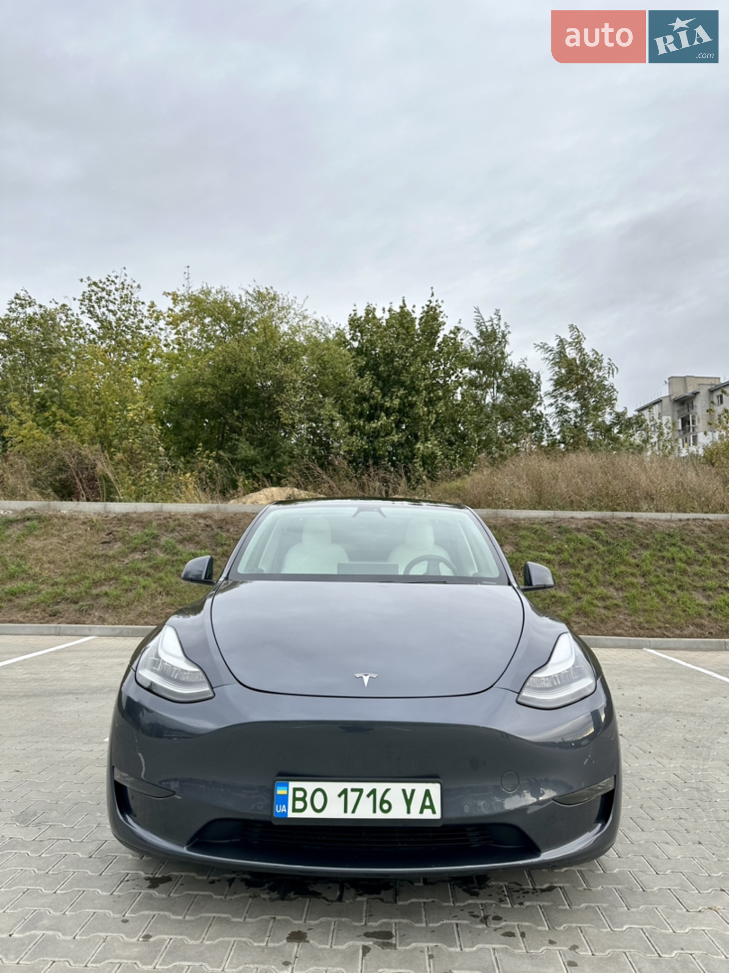 2020 Tesla Model Y - фото 1