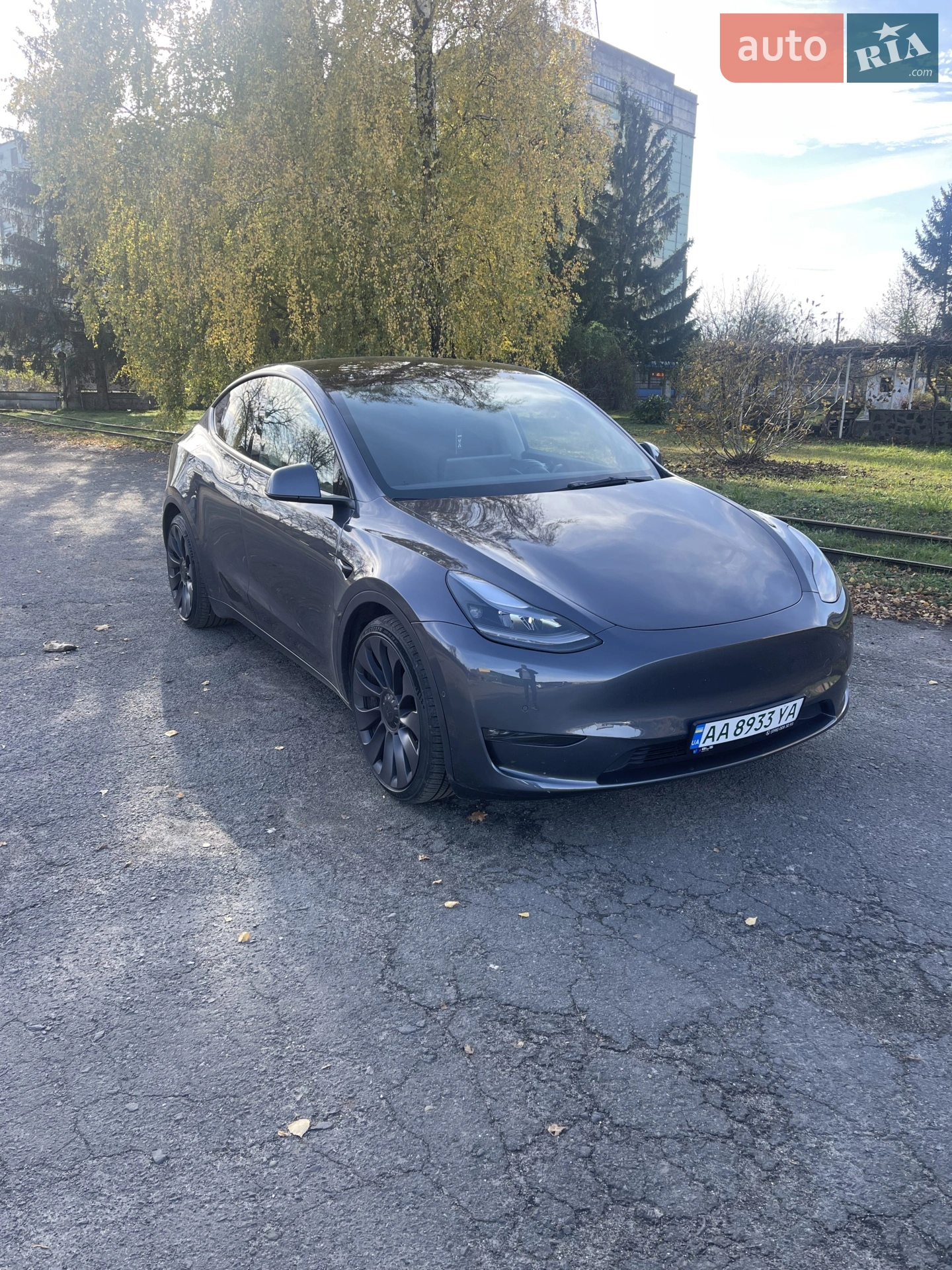 2021 Tesla Model Y - фото 1
