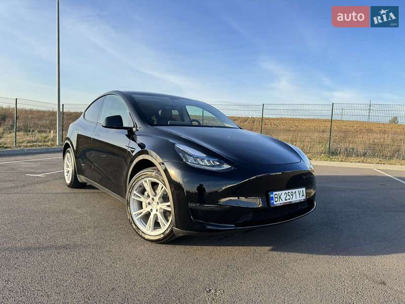 Внедорожник / Кроссовер Tesla Model Y 2020 в Ровно
