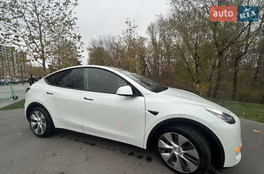 Внедорожник / Кроссовер Tesla Model Y 2020 в Днепре