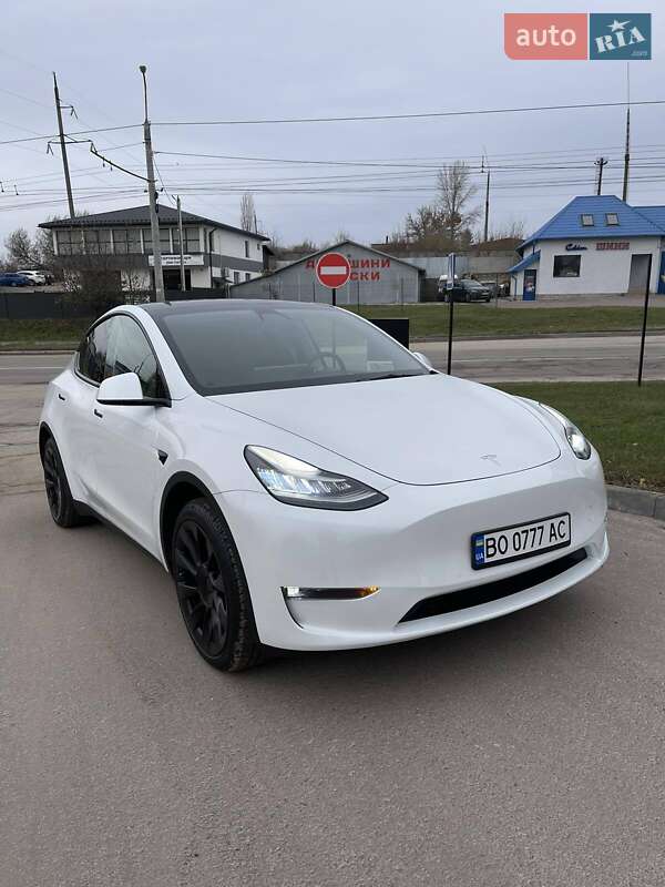 Позашляховик / Кросовер Tesla Model Y 2021 в Тернополі