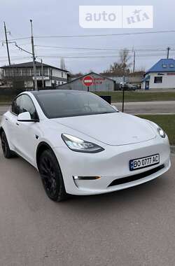 Позашляховик / Кросовер Tesla Model Y 2021 в Тернополі