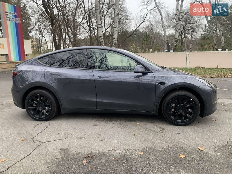 Внедорожник / Кроссовер Tesla Model Y 2022 в Самаре