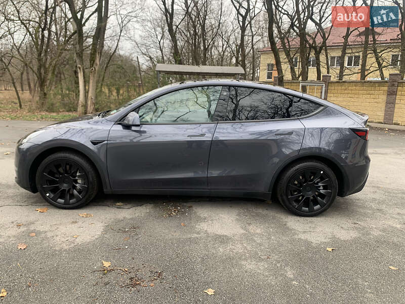 Внедорожник / Кроссовер Tesla Model Y 2022 в Самаре