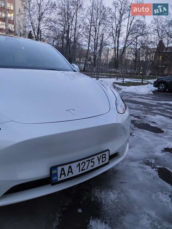 Внедорожник / Кроссовер Tesla Model Y 2022 в Чернигове