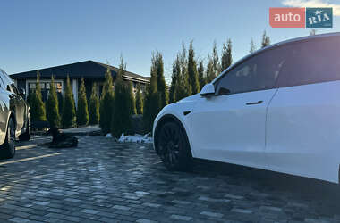 Внедорожник / Кроссовер Tesla Model Y 2022 в Киеве