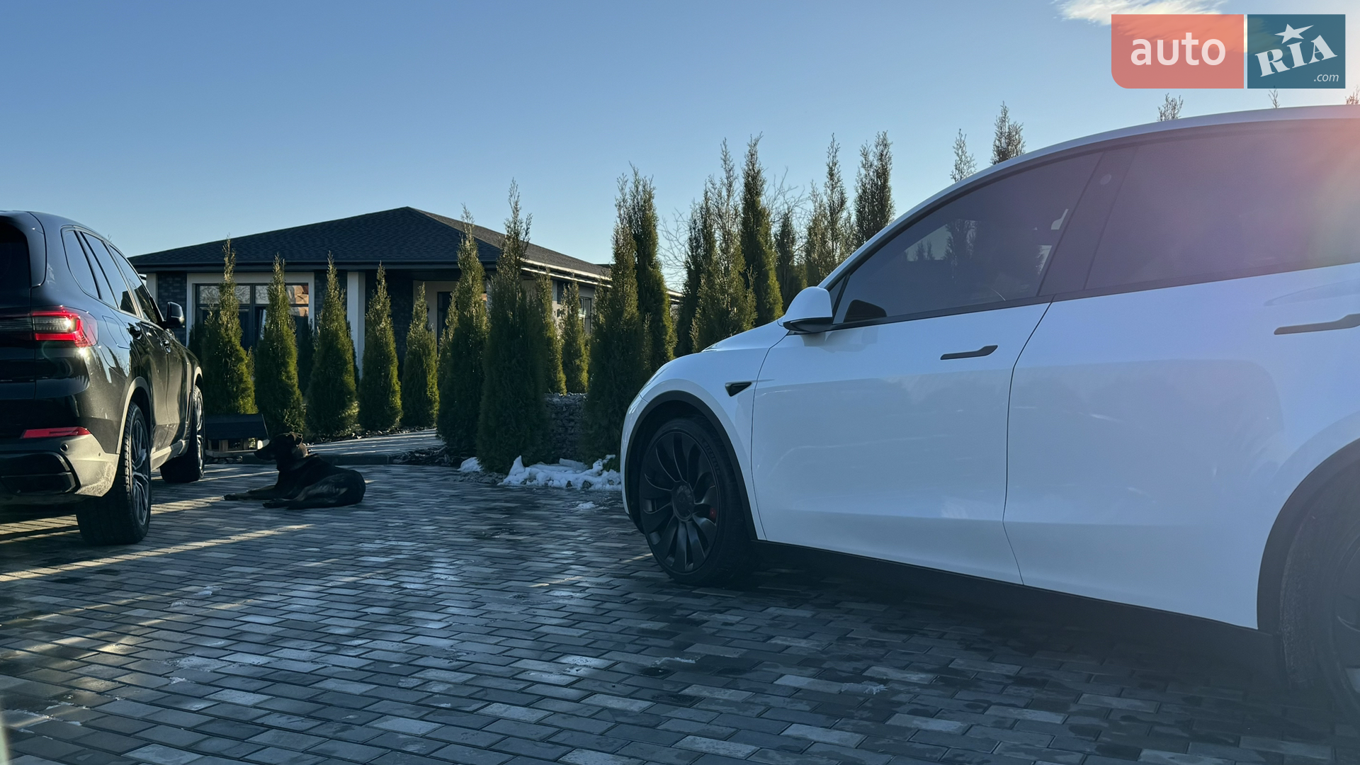 2022 Tesla Model Y - мініатюра 179