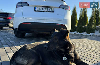 Внедорожник / Кроссовер Tesla Model Y 2022 в Киеве