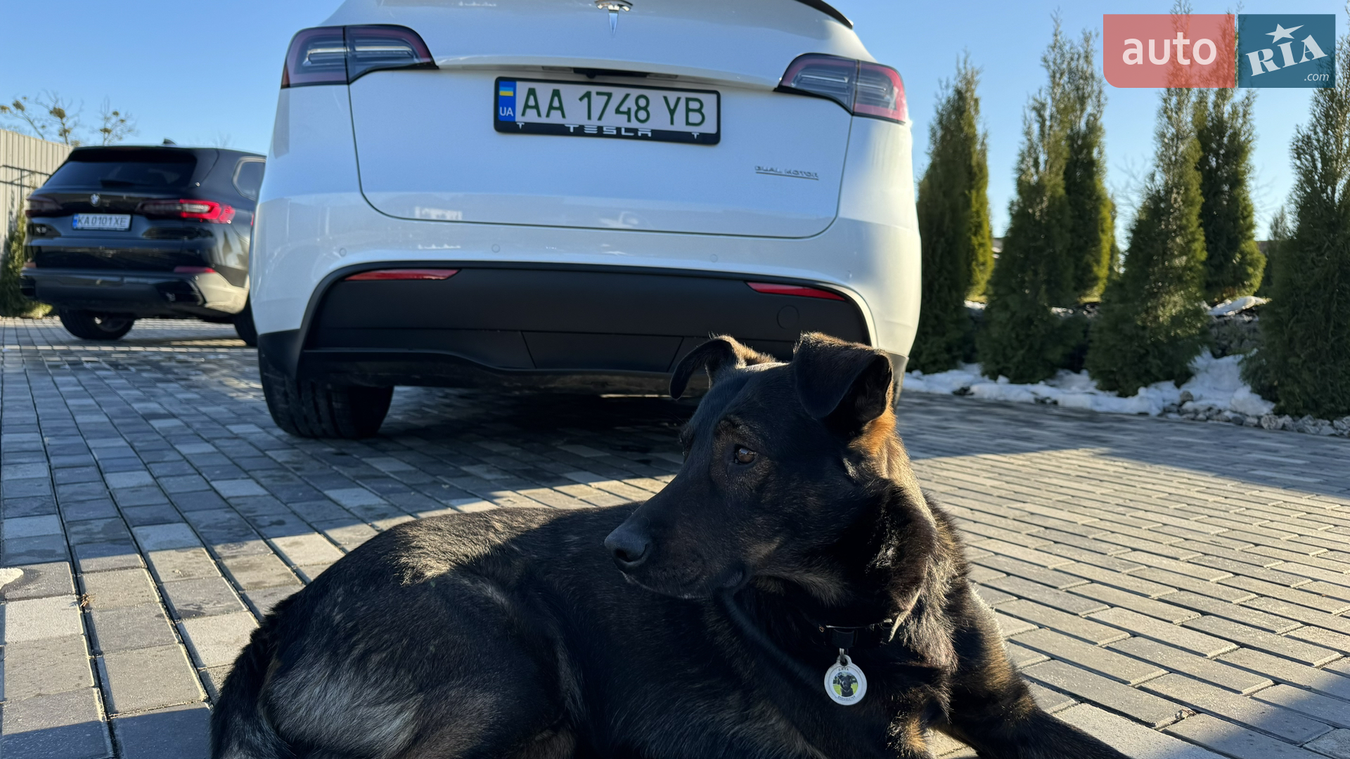 2022 Tesla Model Y - мініатюра 206