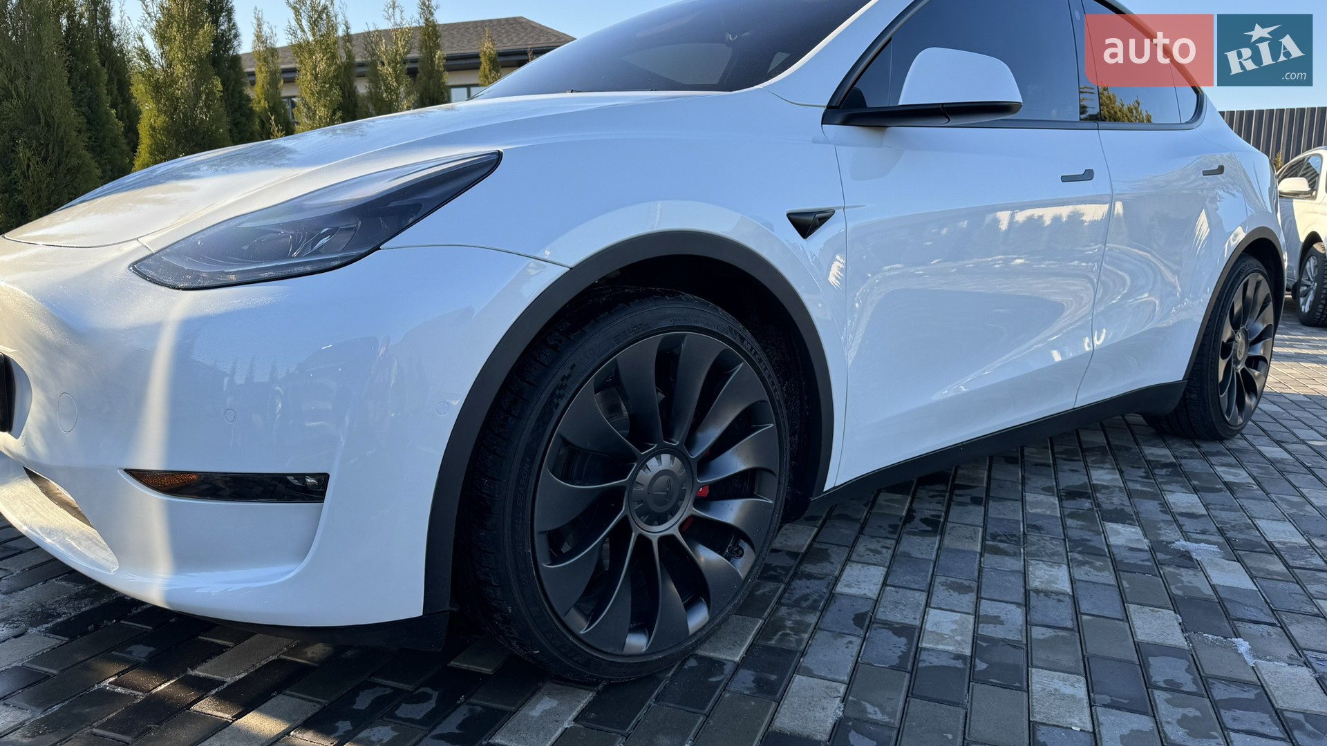 2022 Tesla Model Y - мініатюра 225