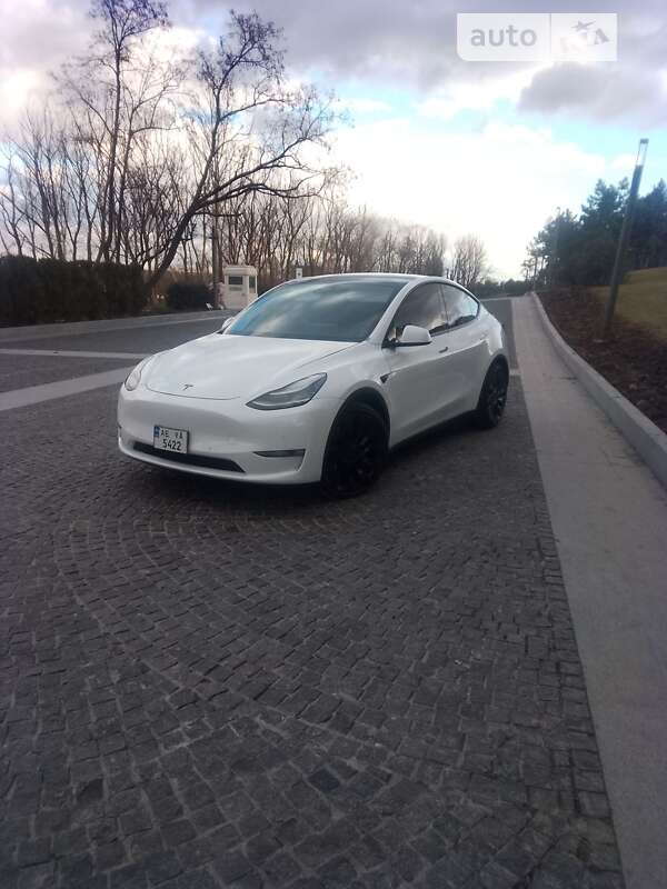 Внедорожник / Кроссовер Tesla Model Y 2020 в Днепре