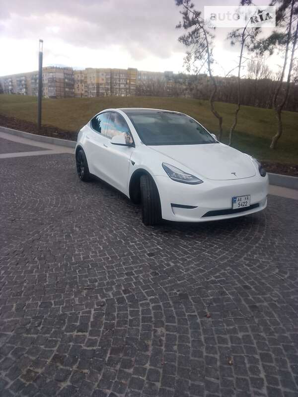 Внедорожник / Кроссовер Tesla Model Y 2020 в Днепре