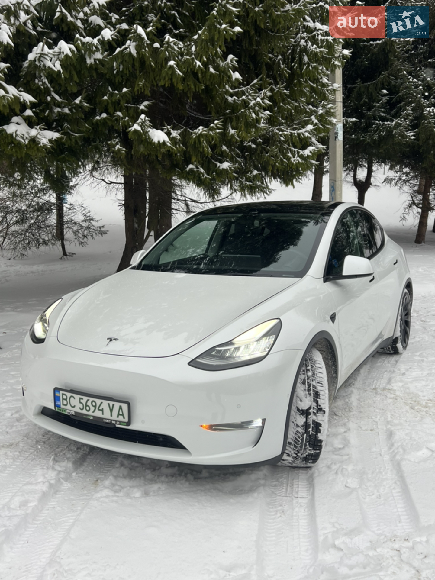 2021 Tesla Model Y - мініатюра 2