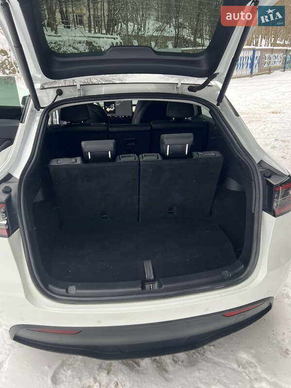 Позашляховик / Кросовер Tesla Model Y 2021 в Львові