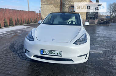 Внедорожник / Кроссовер Tesla Model Y 2020 в Тернополе