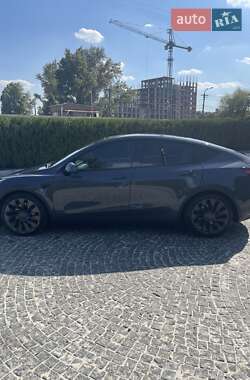 Внедорожник / Кроссовер Tesla Model Y 2021 в Днепре
