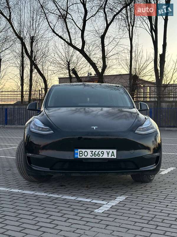 Позашляховик / Кросовер Tesla Model Y 2021 в Тернополі
